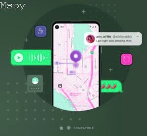 How to Scan Phone for Mspy