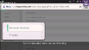 Does Mspy Monitor Tiktok