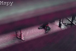 How to Make Sure Mspy Is Working