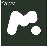 Does Mspy Require Access to Target Phone