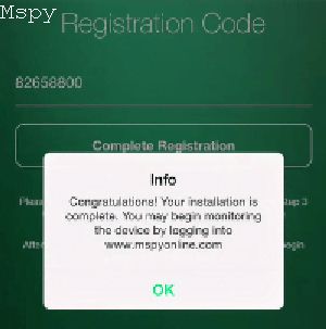 Why Do Everything Say Encrypted Data on My Mspy Dashboard