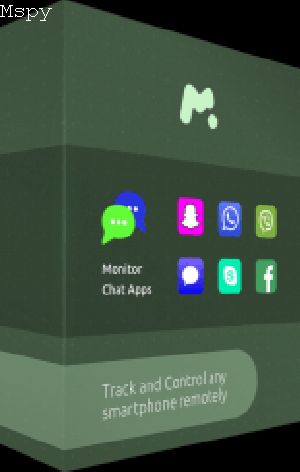 Why Is Mspy Easier to Install Than Flexispy