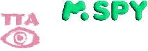 How Much Data Does Mspy Use