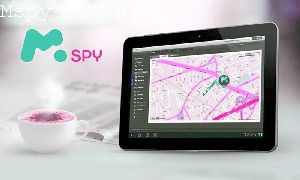 How to Set Up Mspy