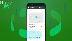 How to Bypass Mspy on Appl