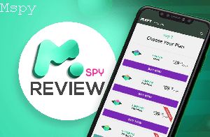 How to Install Mspy on Target Device