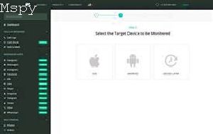 What Does Invalid Api Key Mean Mspy