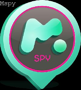 How to Block Websites on Mspy