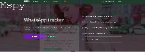 Do Ypu Jailbreak First Before Buying the Mspy
