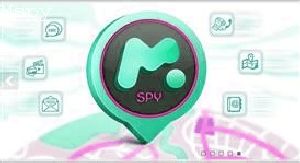 How Long Does It Take for a Text to Show as Sent on Mspy