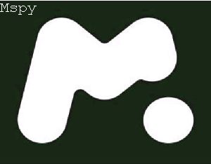 Is Mspy Compatible With Galaxy S8