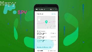 Is Mspy vs Flexispy Better