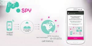 Which Is Better Mspy vs Flexispy