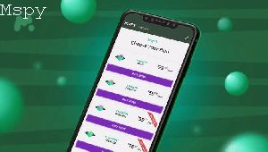 Does Mspy Really Work